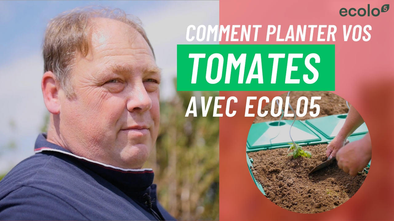 Cargar vídeo: Comment planter vos tomates avec ecolo5